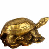 Statueta Broasca Testoasa Aurie Feng Shui, 5cm - Stabilitate, Longevitate, Decor casa, Birou, Amuleta protectie