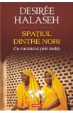 Spatiul dintre nori. Cu rucsacul prin India - Desiree Halaseh