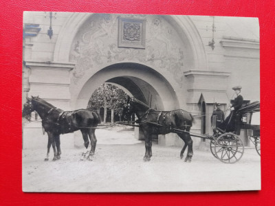 Regina Maria Bucuresti Palatul Cotroceni / 12x9 cm foto