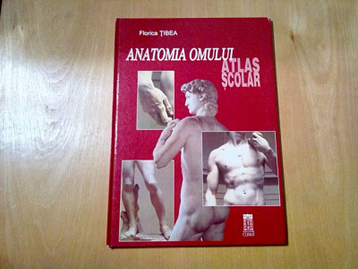 ANATOMIA OMULUI ATLAS SCOLAR - Florica Tibea - Editura Corint, 2001, 40 p. foto