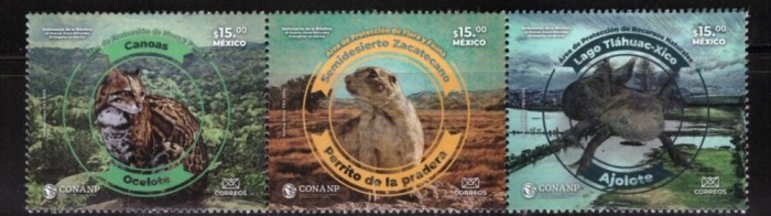MEXIC 2024 FAUNA DIN ZONE PROTEJATE