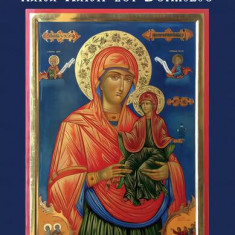 Viața și paraclisul Sfintei Ana - Paperback brosat - Iona