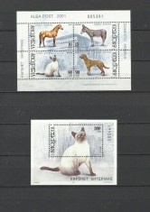ALBANIA 2001 FAUNA ANIMALE DOMESTICE CAI CAINI PISICI