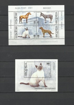 ALBANIA 2001 FAUNA ANIMALE DOMESTICE CAI CAINI PISICI foto