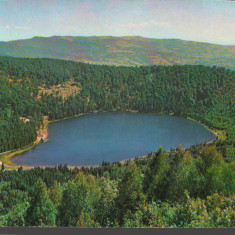 CPIB 15422 - CARTE POSTALA - LACUL "SF. ANA" (JUD. HARGHITA)