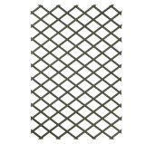 Cumpara ieftin Nature Gard de grădină tip Trellis, 100 x 200 cm lemn, verde 6041704