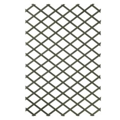 Nature Gard de grădină tip Trellis, 100 x 200 cm lemn, verde 6041704 foto