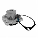 Pompa apa Dayco - Fiat 1.6 1.9 2.0 D Multijet, Stilo, Bravo II, 500X, Ducato