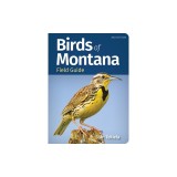 Birds of Montana Field Guide