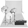 VidaXL Kit studio foto cu set de lumină și fundal 3094716