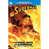 DC Superman: The Final Days of Superman