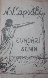 EVADARI IN SENIN