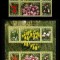 ✅ RO 2006 LP 1716+b &quot; Lalele &quot; , serie + colita 373 , MNH
