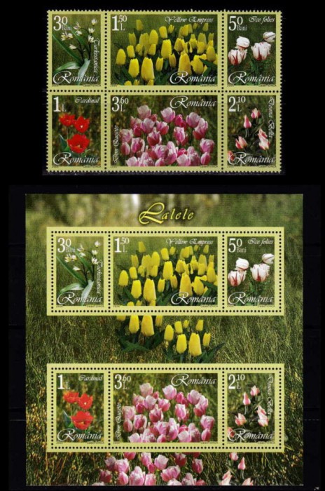 ✅ RO 2006 LP 1716+b &quot; Lalele &quot; , serie + colita 373 , MNH