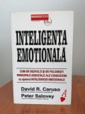 David R. Caruso/Peter Salovey, Inteligența emoțională