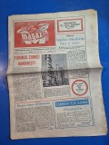 ziarul magazin 12 septembrie 1981 - forumul chimiei romanesti