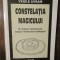 Constelația magicului - Vasile Avram