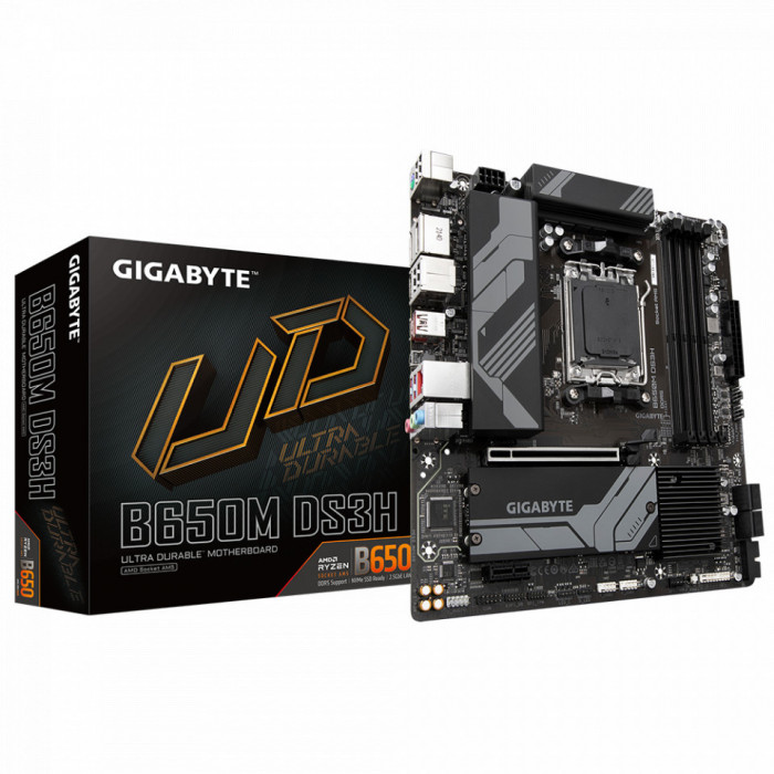 MB Gigabyte B650M DS3H AM5