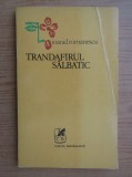 Ioanid Romanescu - Trandafirul salbatic