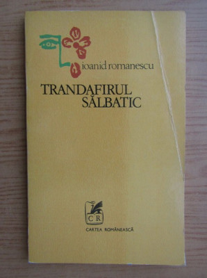 Ioanid Romanescu - Trandafirul salbatic foto