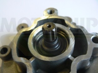 MOTAQUIP VWP795 Pompă de apă, răcire motor foto