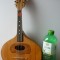 MANDOLINA, INSTRUMENT CU COARDE.