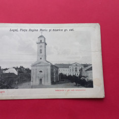 Timis Lugoj Piata Regina Maria si Biserica greco catolica 1900