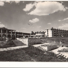 CPIB 15679 CARTE POSTALA - MANGALIA, ASPECT DE PE FALEZA, RPR