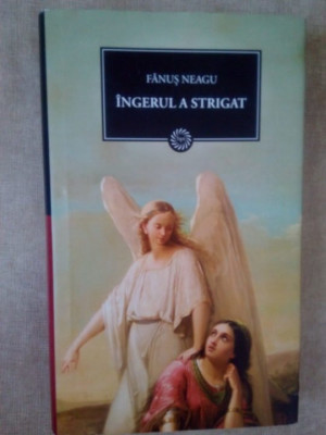 Fanus Neagu - Ingerul a strigat (editia 2009) foto