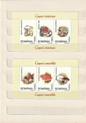 CIUPERCI - TRIPTIC ( LP 1616 a ) 2003 foto