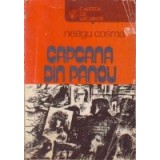Capcana din panou