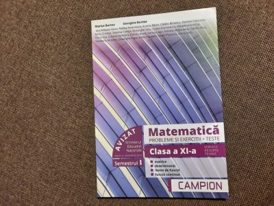 MATEMATICA PROBLEME SI EXERCITII CCLASA A XI A BURTEA SEMESTRUL I SERVICII foto