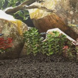Roci Vulcanice Acvariu/Terariu vidaXL, Negre, 1-2cm, 10kg - Decor Natural, Filtrare Biologica, Fund Acvariu, Gradina