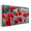 Tablou peisaj cu maci rosii 1789 Tablou canvas pe panza CU RAMA 70x140 cm