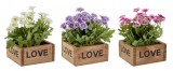 Cumpara ieftin Set 3 flori artificiale Crizanteme 10x10x15 cm