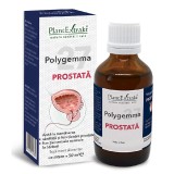 Polygemma 27 Prostata, 50 ml, Plant Extrakt