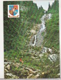 bnk cp Borsa - Cascada Izvorul cailor - necirculata