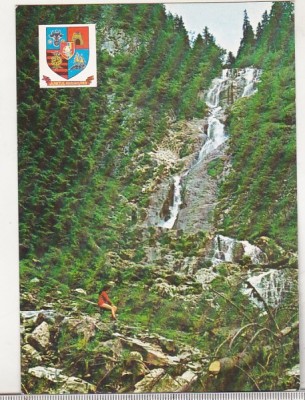 bnk cp Borsa - Cascada Izvorul cailor - necirculata foto