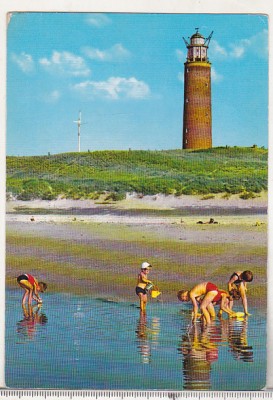 bnk cp Faruri - Olanda - Texel - circulata foto