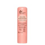 Stick de Buze Intens Nutritiv Bio 4 grame Fleurance Nature