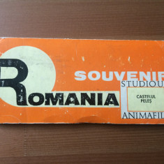 castetul peles diapozitive souvenir romania studioul animafilm diacolor RSR 1969
