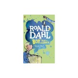 Boy: Tales of Childhood
