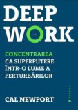 Deep Work. Concentrarea ca superputere intr-o lume a perturbarilor/Cal Newport, Publica