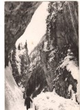 CPIB 22410 - CARTE POSTALA - MUNTII BUCEGI - CHEILE ORZEI (ORZA), RPR, 1957