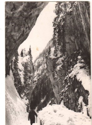 CPIB 22410 - CARTE POSTALA - MUNTII BUCEGI - CHEILE ORZEI (ORZA), RPR, 1957 foto