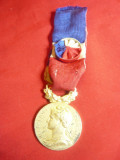 Medalie Oficiala a Ministerului Muncii ,bronz aurit ,grad ofiter, Franta, Europa