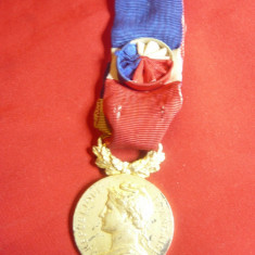 Medalie Oficiala a Ministerului Muncii ,bronz aurit ,grad ofiter, Franta