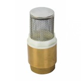 Sorb pentru pompa de apa curata 1 inch, cu supapa de sens TopGarden