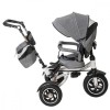 Tricicleta si Carucior pentru copii Premium TRIKE FIX V3 culoare Gri FAVLine Selection, Oem