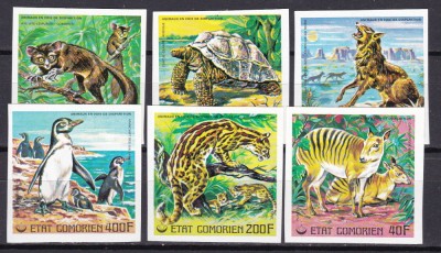 Comore 1977 fauna MI 332-337B MNH foto